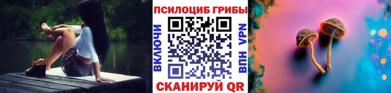 Галлюциногенные грибы MAGIC MUSHROOMS  наркота  Приморско-Ахтарск 